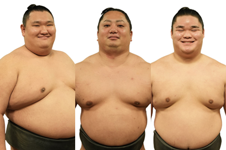 力士の西御許、宮乃風、加藤